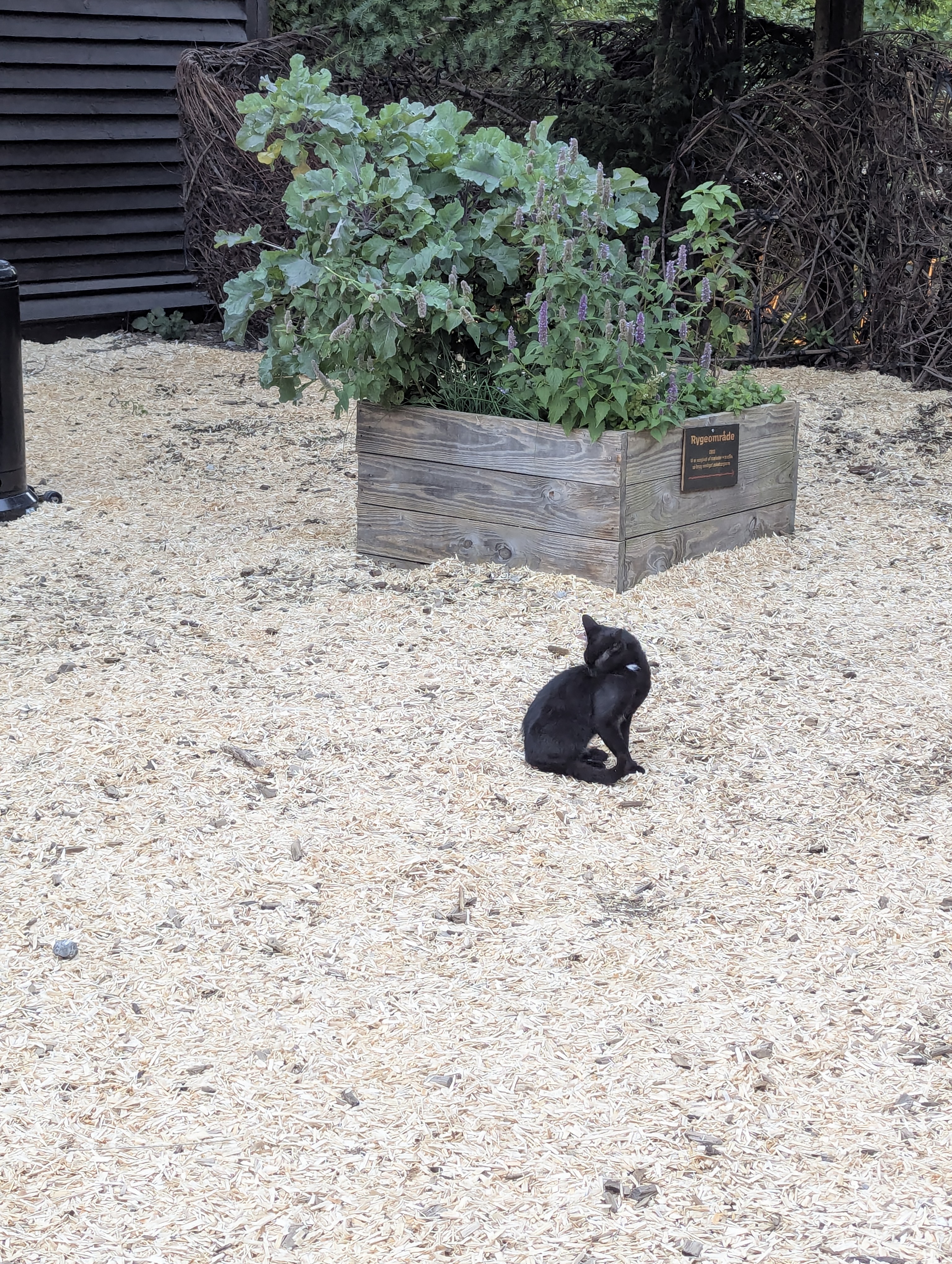 Lyngby, Copenhagen, Barn Party, Denmark